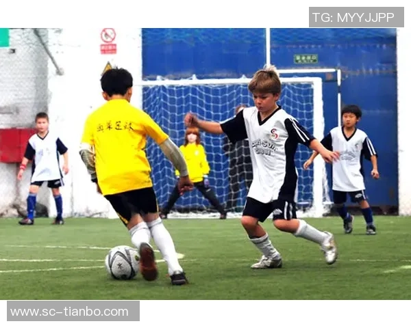 足球周刊主题卡全面解析足球赛事动态与球员表现提升你的足球观赛体验